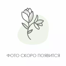 Видео превью
