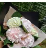 Букет цветов «Гортензии нежности»
