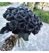 Розы &laquo;Черная королева&raquo;