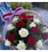 Красное - белое 1