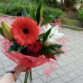 Радость настроения от интернет-магазина «Floral24» в Сочи
