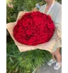101 роза сорта ред наоми 1