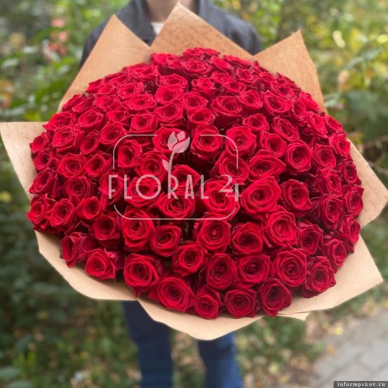 101 роза сорта ред наоми