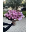 Аэлита 1