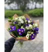 Фантазия 1