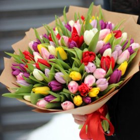 51 тюльпан микс от интернет-магазина «Floral24» в Сочи