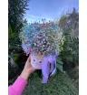 Радужная коробочка 1