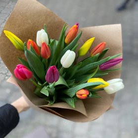 15 тюльпанов микс от интернет-магазина «Floral24» в Сочи