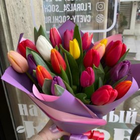 21 тюльпан микс от интернет-магазина «Floral24» в Сочи