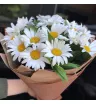 Монобукет «Букет с ромашками»
