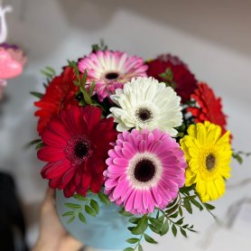Звёздочки от интернет-магазина «Floral24» в Сочи
