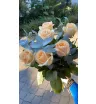 Скромный подарок