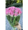 Розовые тюльпаны