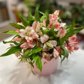 Розовая коробочка от интернет-магазина «Floral24» в Сочи
