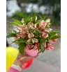 Розовая коробочка 2