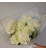 Комплимент королеве 2